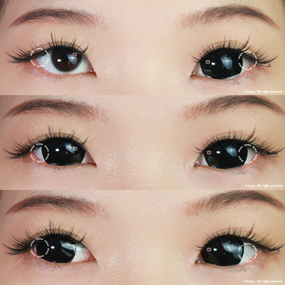 Sweety Mini Sclera Lens Black Titan - With Prescription