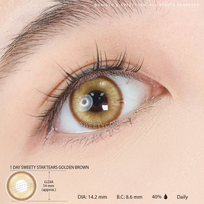1 Day Sweety Star Tears Golden Brown (10 lenses/pack)