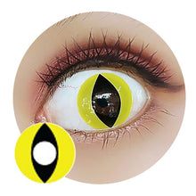 Load image into Gallery viewer, Sweety Crazy Lens - Yellow Cat