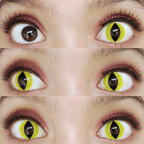 Sweety Crazy Lens - Yellow Cat