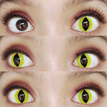 Load image into Gallery viewer, Sweety Crazy Lens - Yellow Cat