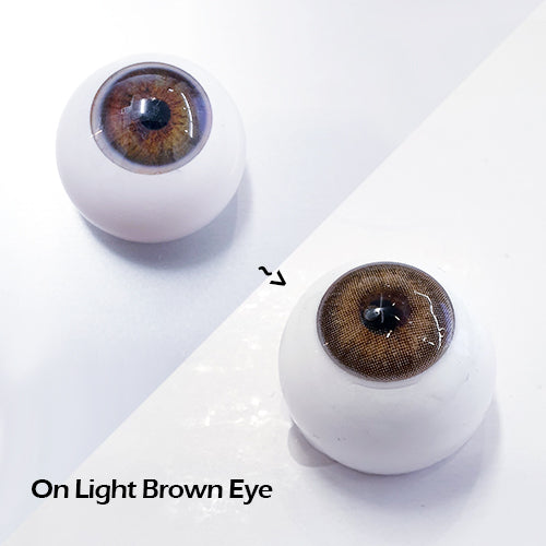 Sweety Russian Brown