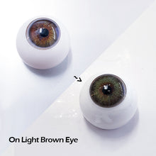 Load image into Gallery viewer, Sweety Russian Grey