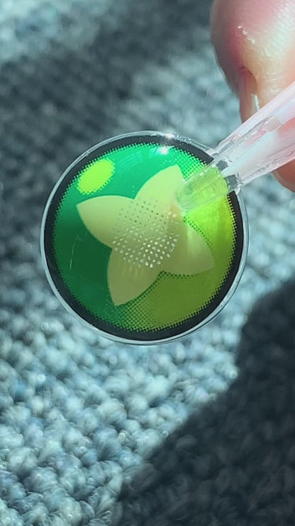 Sweety Clover Green