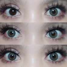 Load image into Gallery viewer, Sweety Russian Grey