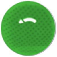 Sweety Crazy Lens - Green Mesh