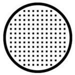 Sweety Crazy Lens - White Mesh with Black Rim