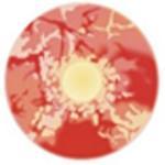 Load image into Gallery viewer, Sweety Red Sclera Lens Zombie-UNIQSO Express