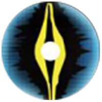Load image into Gallery viewer, Sweety Crazy Lens - Xorn