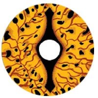 Load image into Gallery viewer, Sweety Crazy Lens Game of Thrones - Dragon Eyes