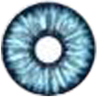 Sweety Blue Sclera - Blue Elf-UNIQSO Express